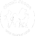 Circuit Shows WDS Helsinki 2025